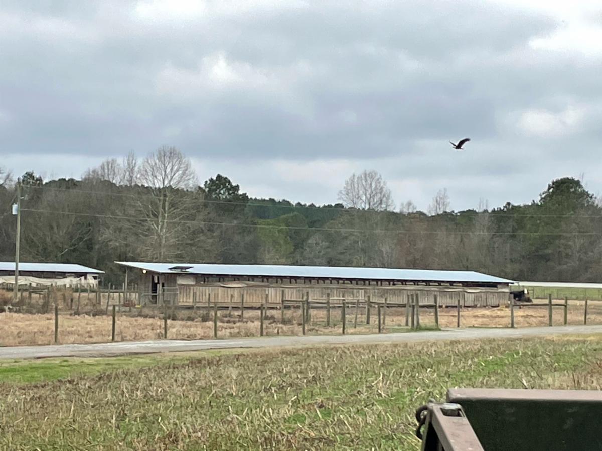 CTCT-20221211_215841