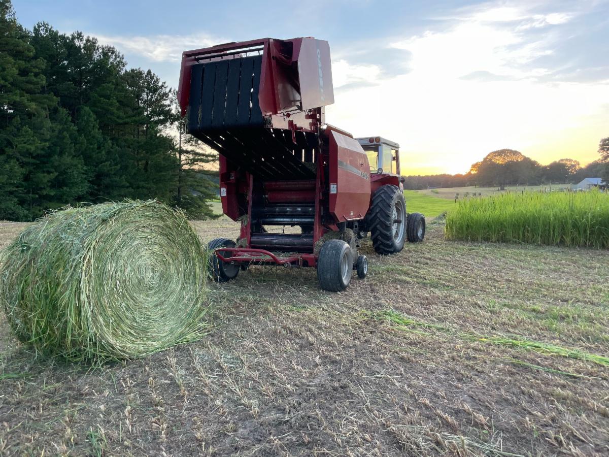 Carlton Farms Newsletter