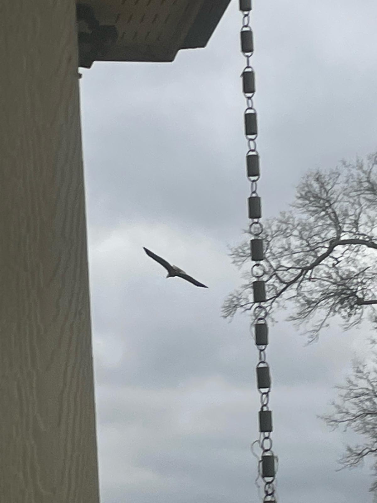 CTCT-20221211_215833