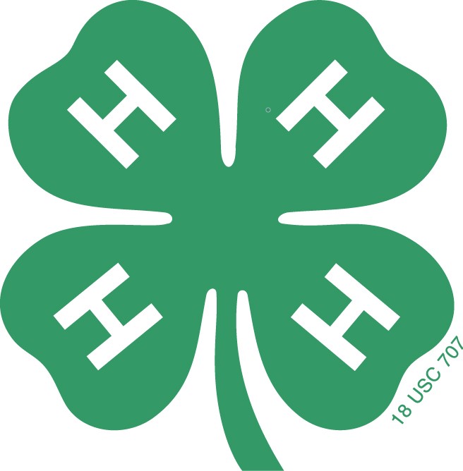 4h clover