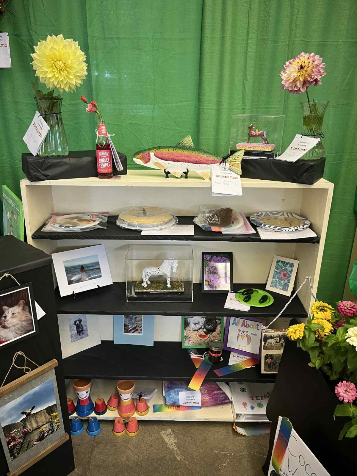 Close up of shelf display at NYS Fair