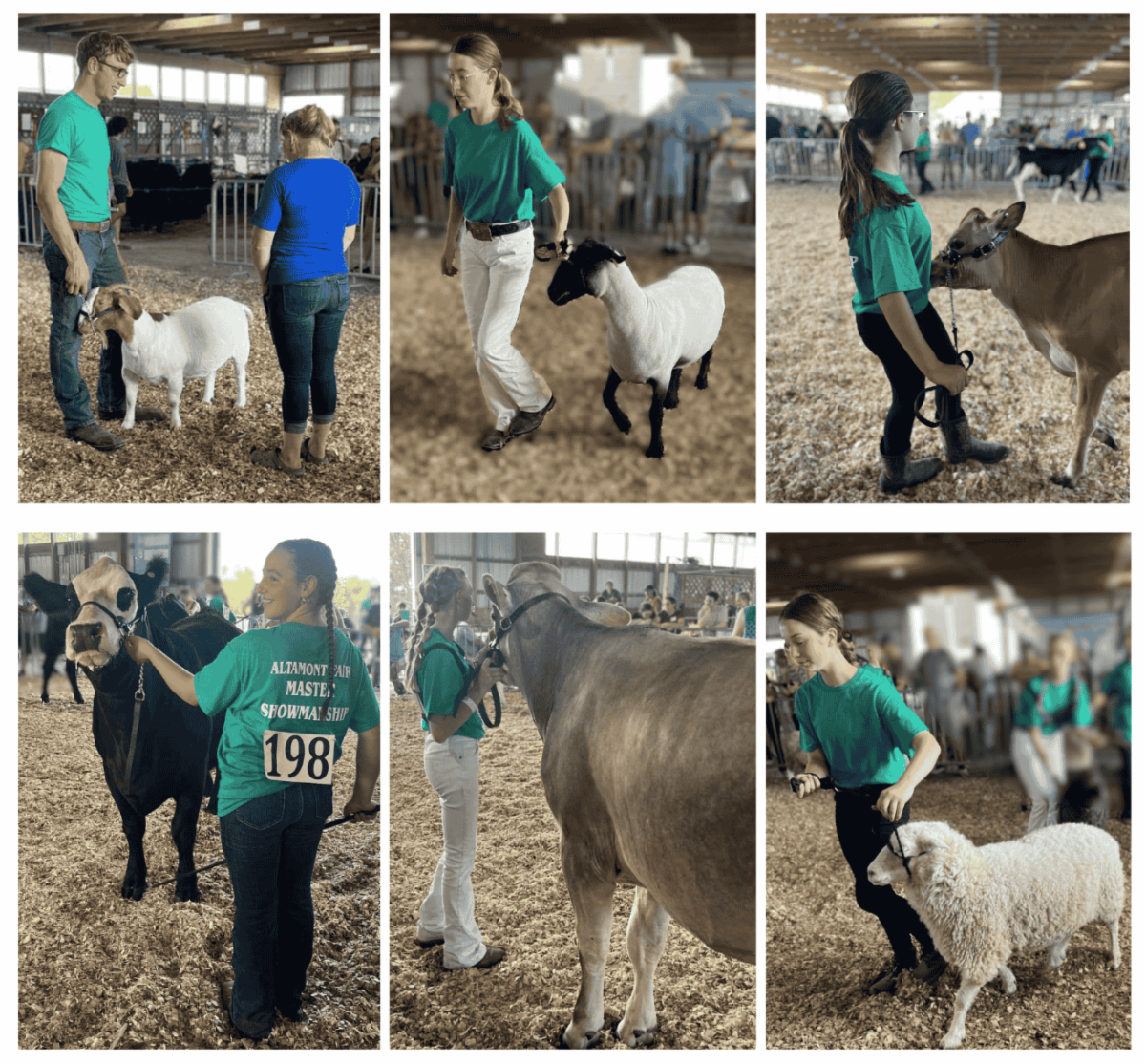 collage of master showman at altamont fair