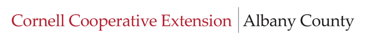 cce albany logo