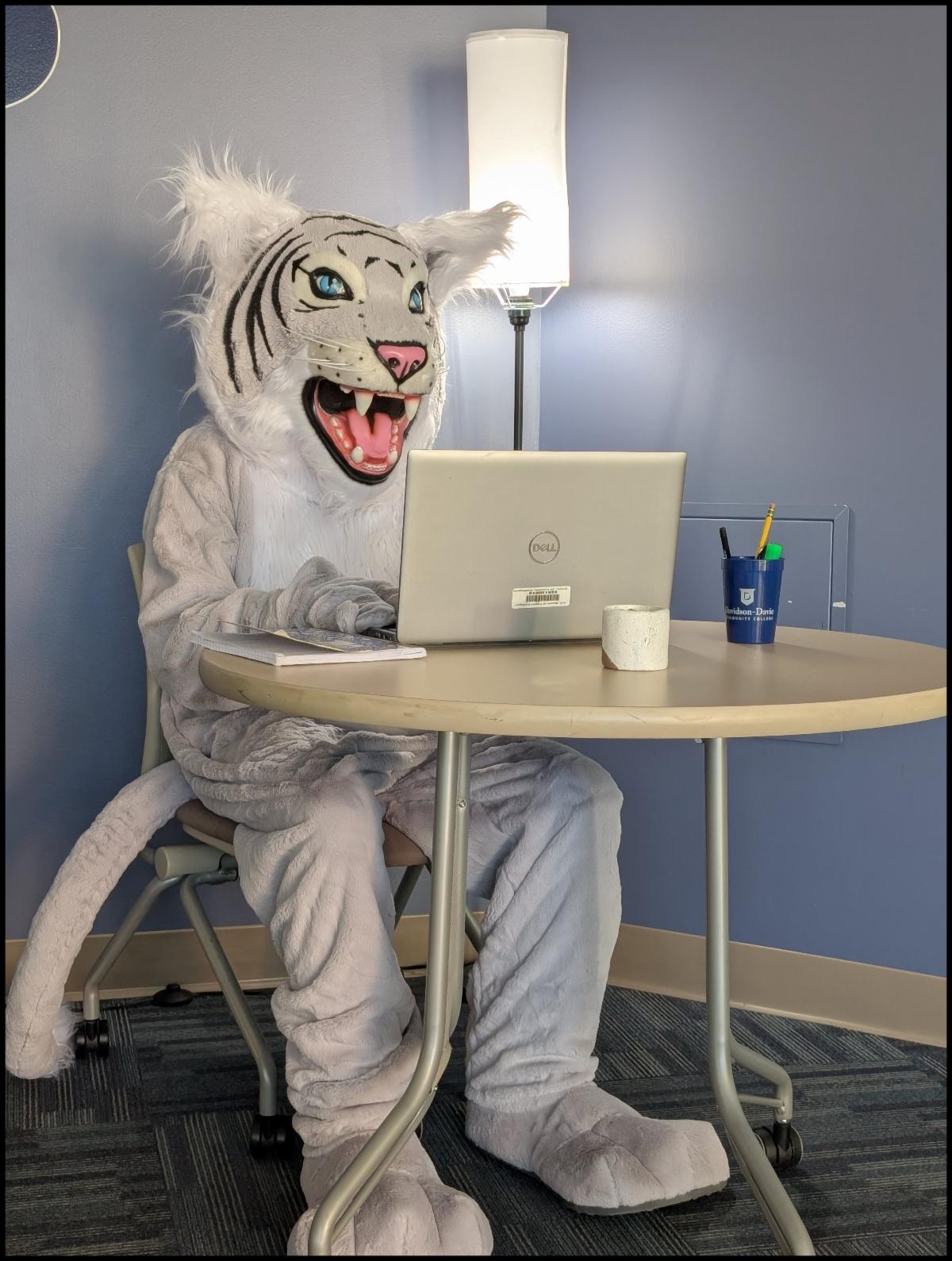 Stormy mascot using a laptop