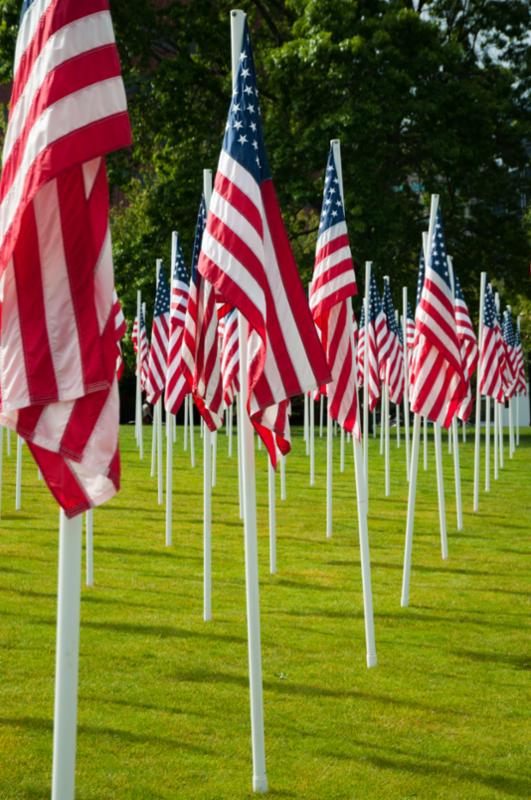 american_flags_grass.jpg