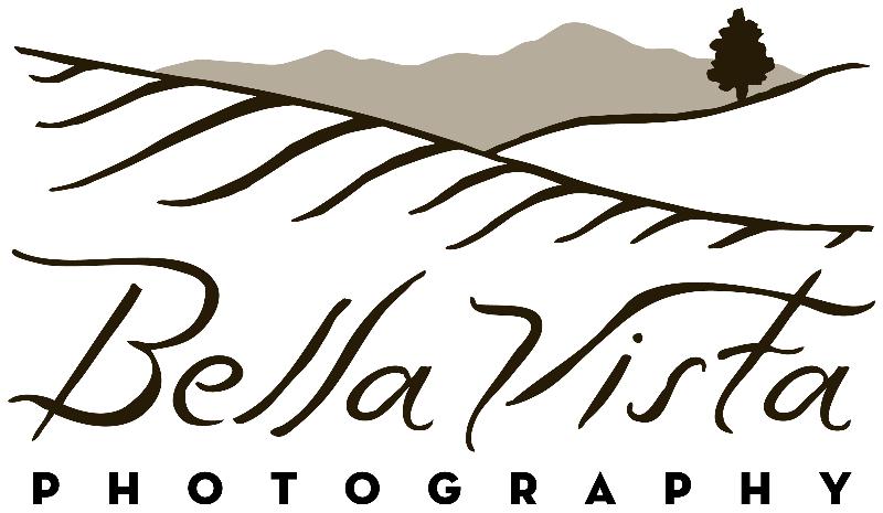 BVP Logo