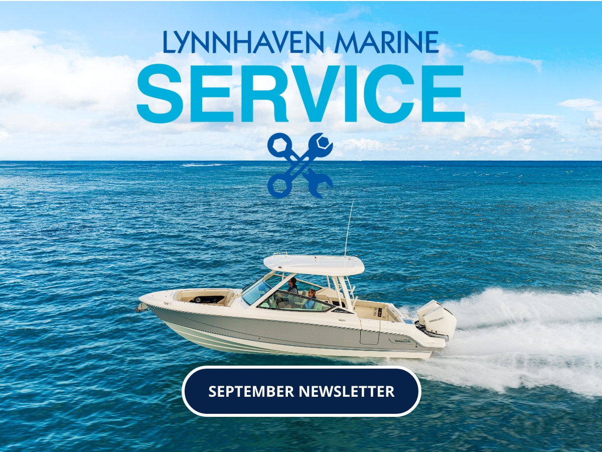 September Service Newsletter Campaign