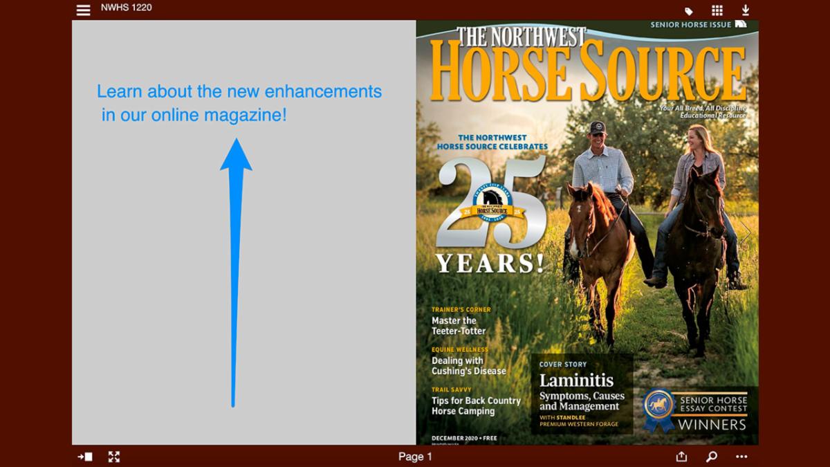Digital Issue Features