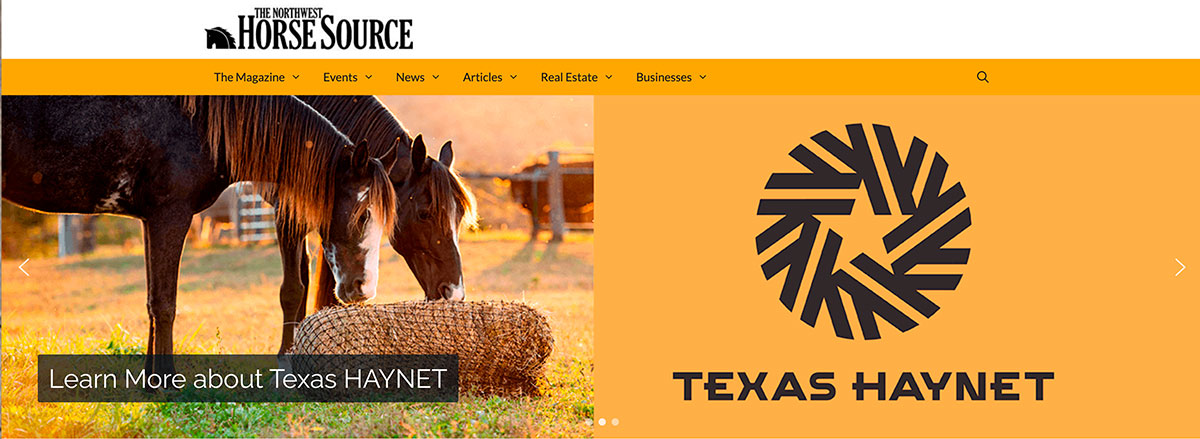 Header Banner Visual