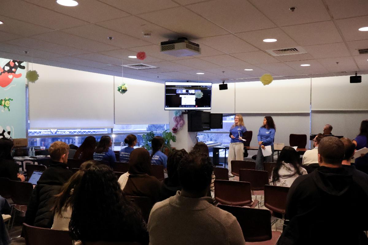 Picture of a speaker and an audience