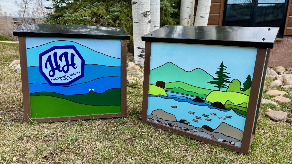 Artwork on the new Little Free Libraries