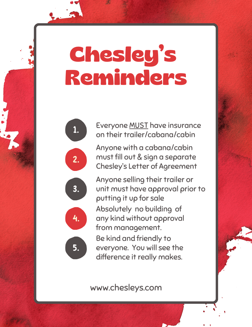 White And Red Abstract Classroom Rules A4 Flyer .png