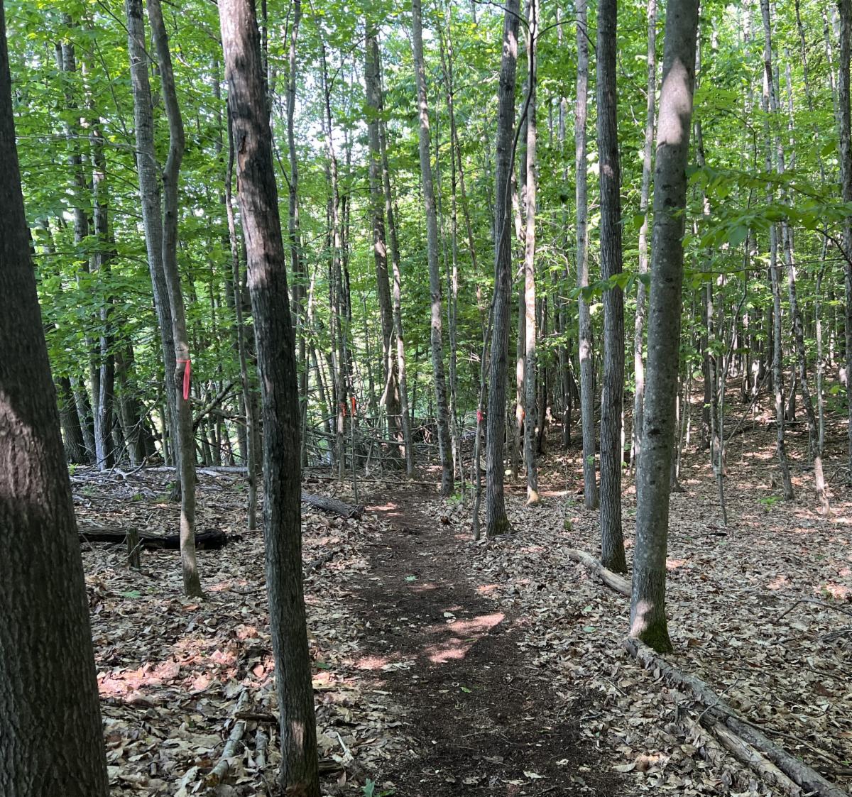 River Elf Trail