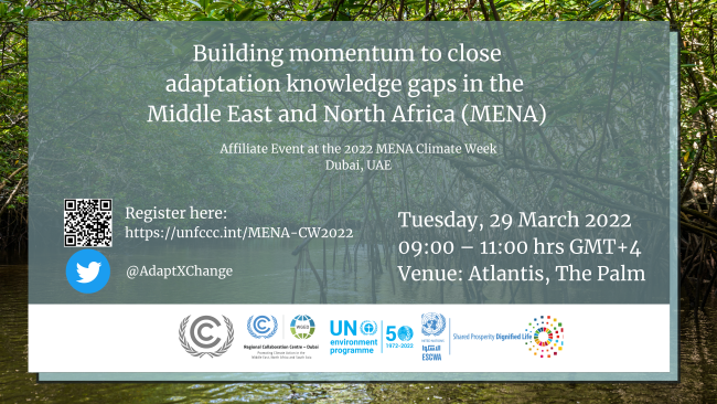 Flyer Building Momentum MENA LAKI.png