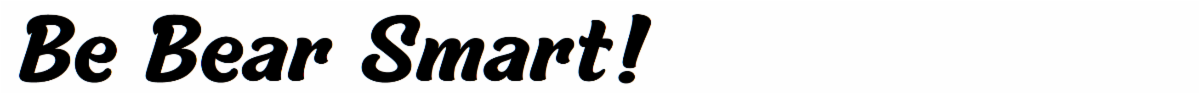 be bear smart_.PNG