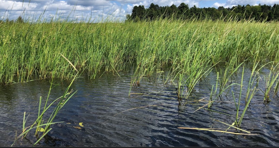 News From the Lac du Flambeau Band of Lake Superior Chippewa Indians