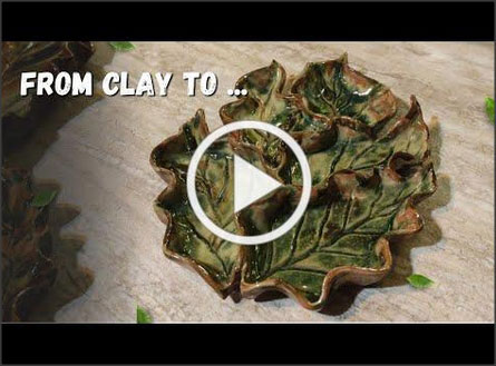 Building a leafy dish video