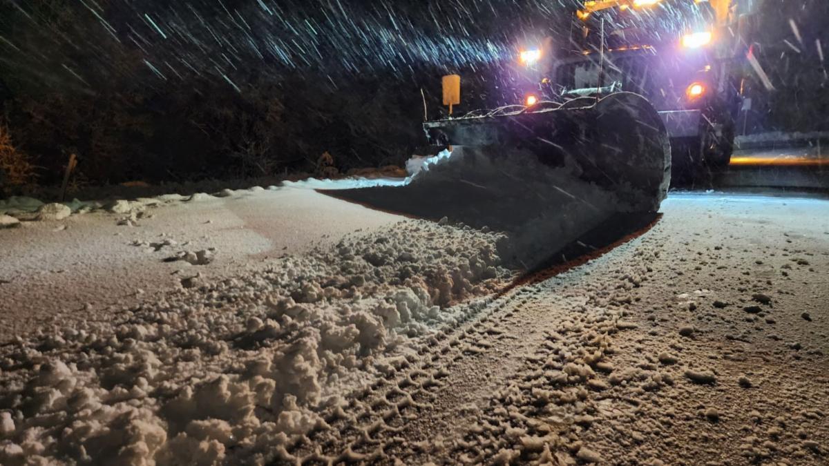 JoCo In the Know Save on Kansas City Zoo memberships!