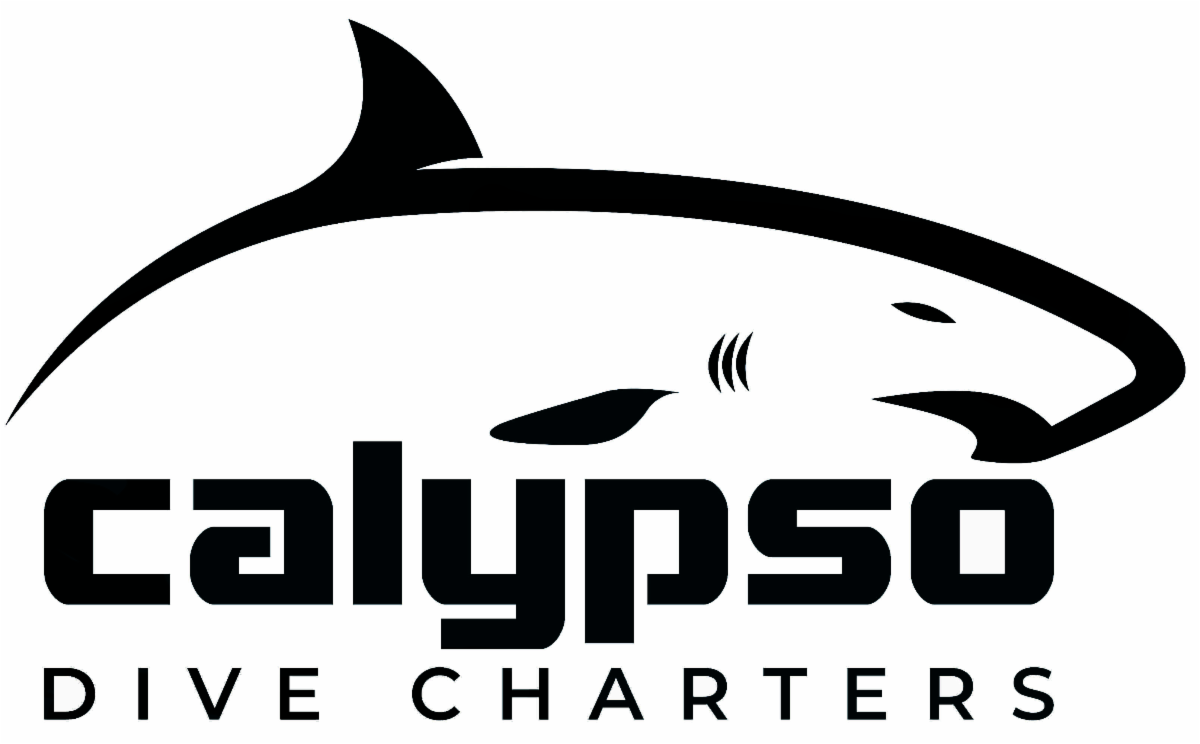 Calypso Dive Charters Holiday Deals Black Friday Extravaganza! Offer