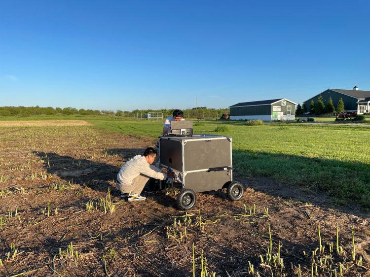 Photo of two men kneeling in a field of asparagus conducting research