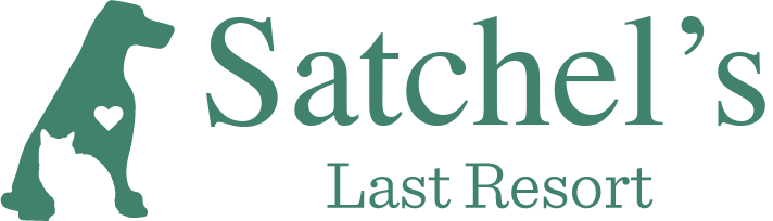 branding logo