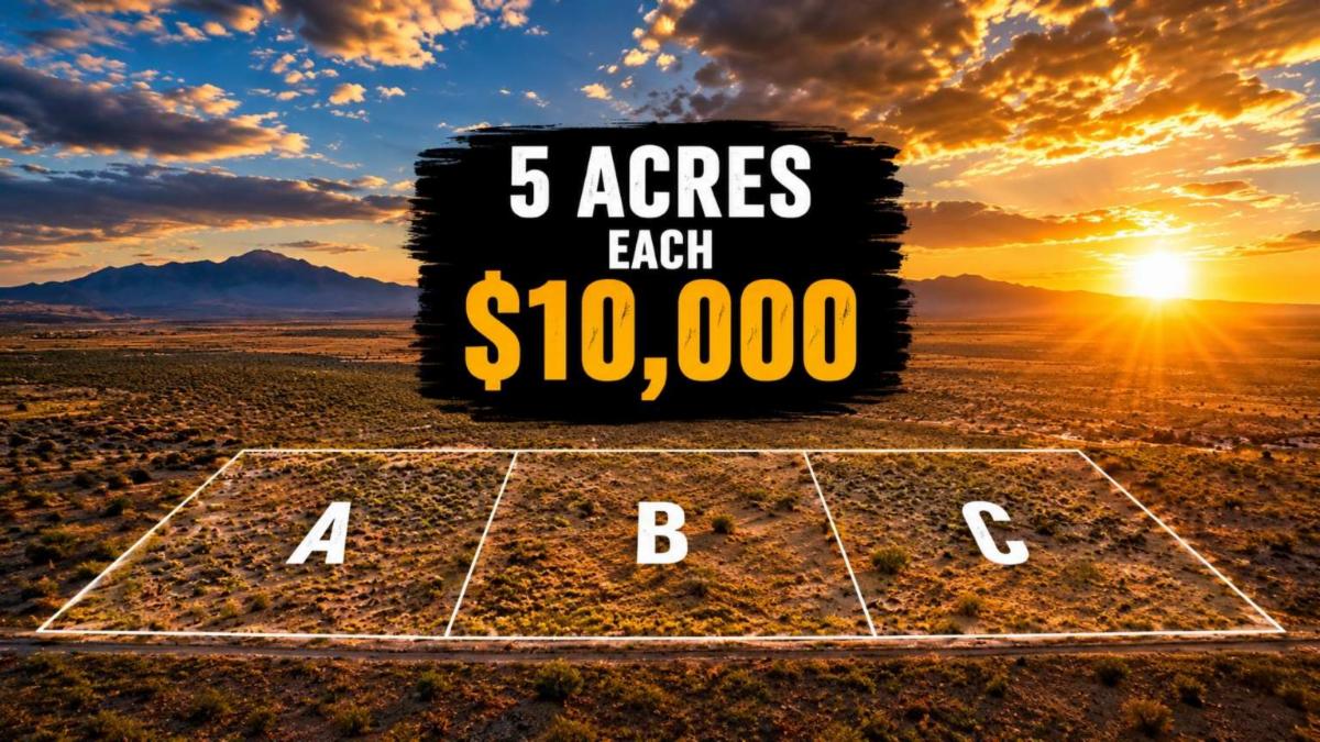 Three adjacent 5 acre lots A, B and C in Rancho Rio Grande, Socorro County, New Mexico