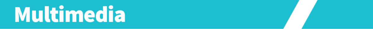 A section header graphic with the word "Multimedia"
