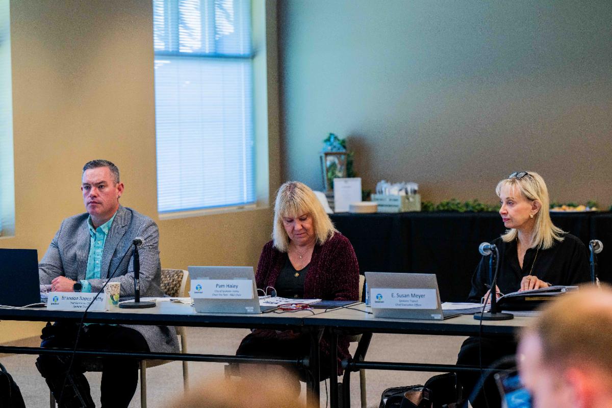 A photo of Susan at an STA Board workshop