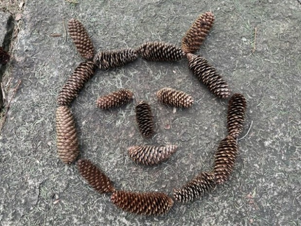 pinecone face