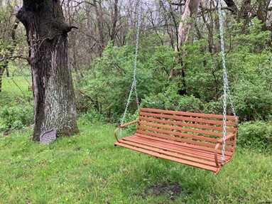 swing