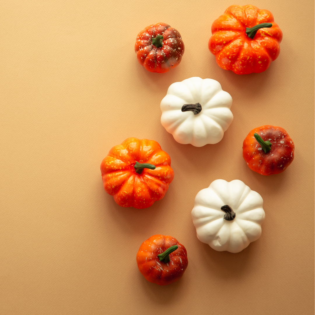 25 Festive and Cozy Fall Bucket List Ideas
