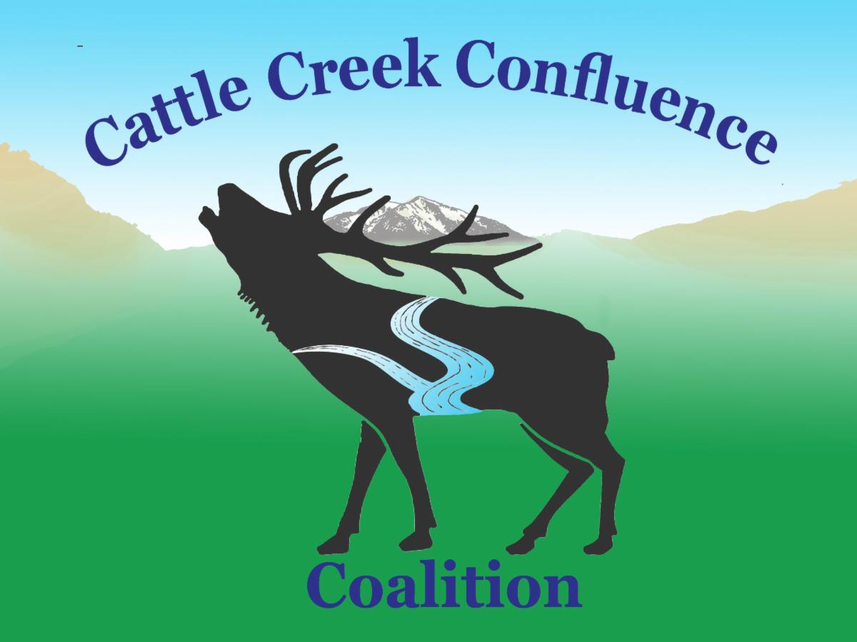 elk3cccc-1-scaled.jpg