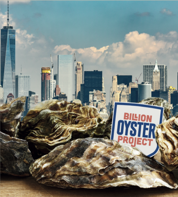 True Oyster Shell NEWSBRIEFS - This Week's News & Events