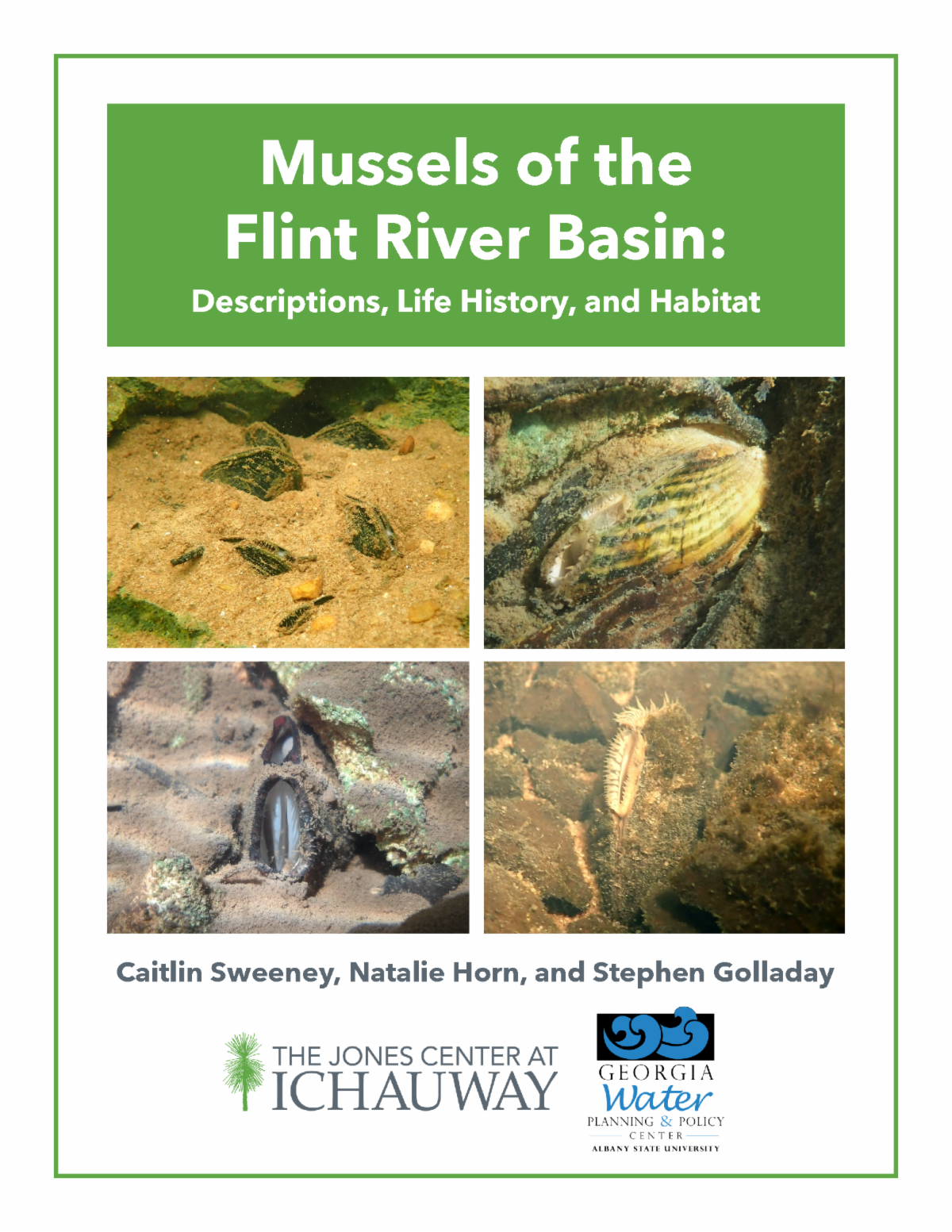 Mussels of Flint River Basin Field Guild cover