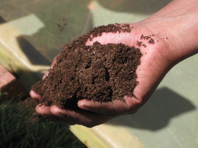 compost, soil, hand