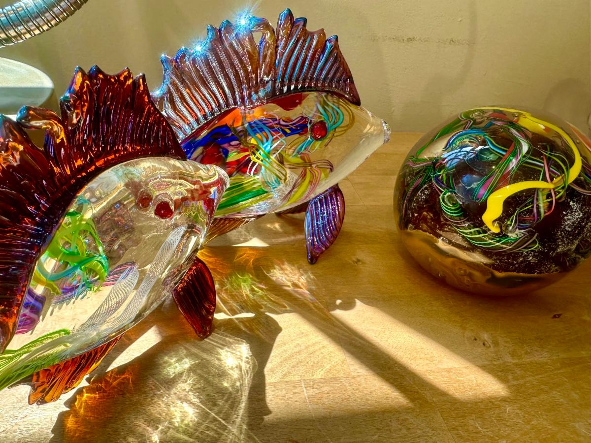 Skipjack skip jack fish colorful reflection reef paperweight