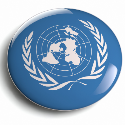 Meet Lubin's UN Millennium Fellows