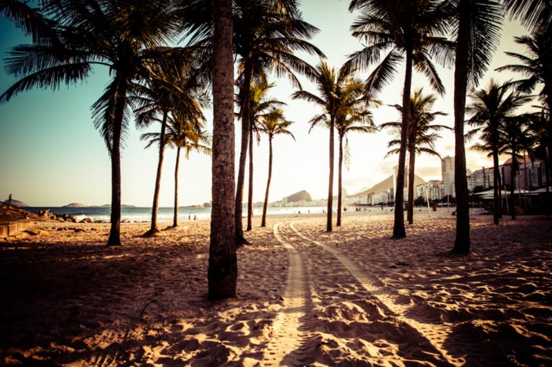 tropical_beach_palm_trees.jpg