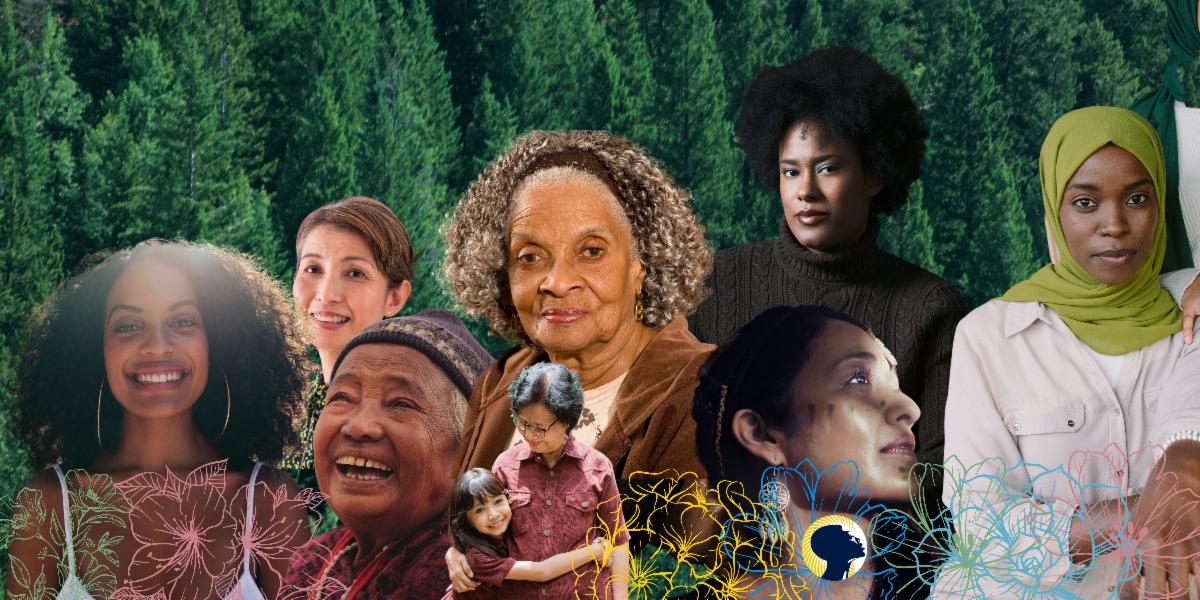 NO TEXT EOY Tree Pledges Banner Images-3.jpg