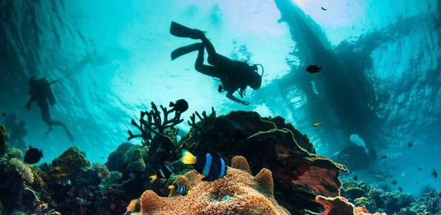 Malapascua - to see the Thresher Sharks