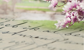 Spring flowers with writing