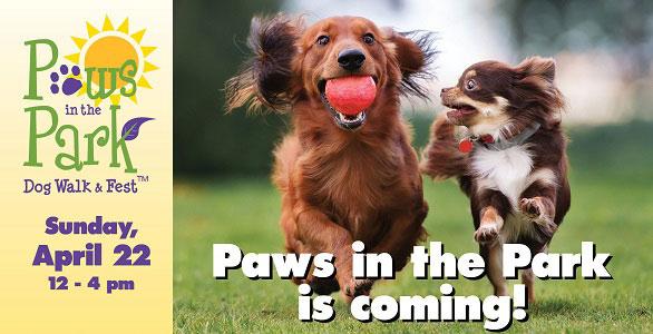 Paws in the Park