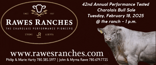 Rawes Ranches Performance Tested Charolais Bull Sale