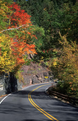 winding-road.jpg