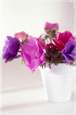 purple-flower-vase.jpg