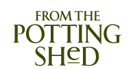 Logo - transparent BG