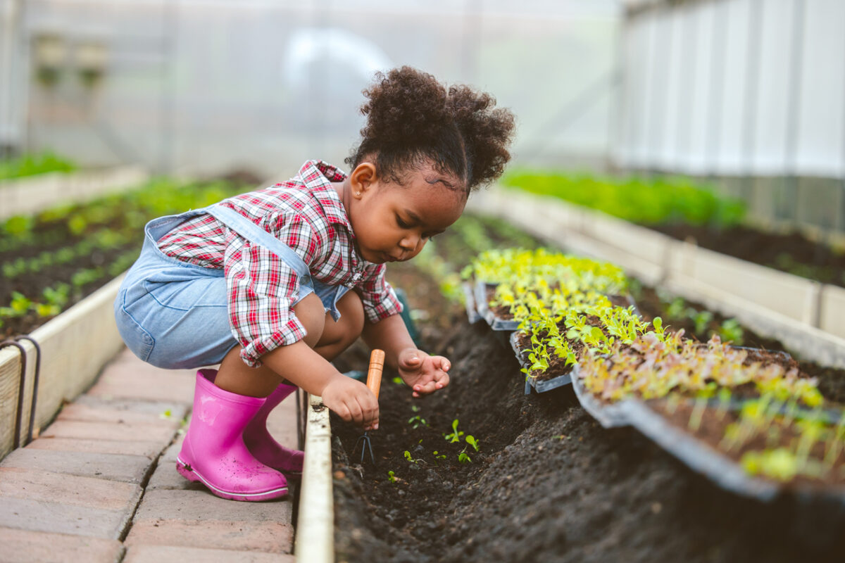 gardening activities for early childhood classrooms