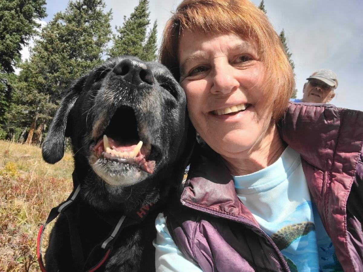 Safe Harbor's Lab Gab August 2021