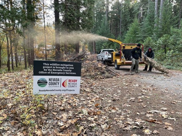 A crew removes flammable vegetation from a road.