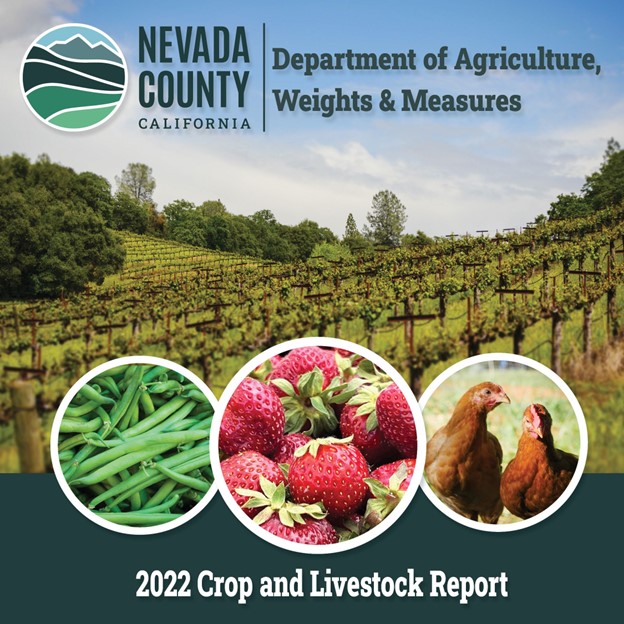 Graphic for 2022 Crop and Livestock Report